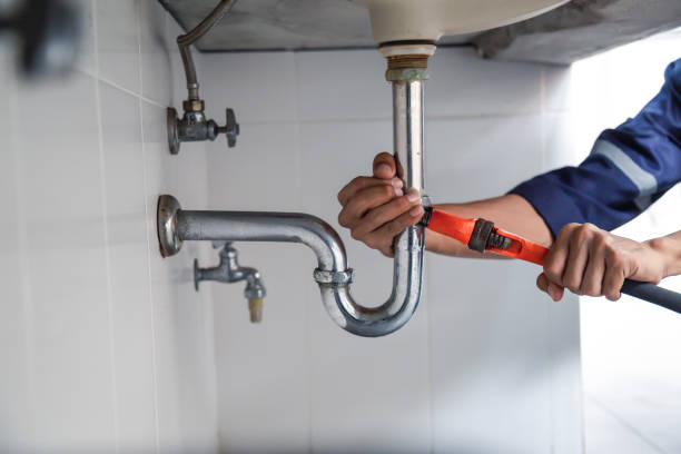 Best Drain Cleaning Services  in Lmar, DE