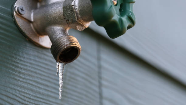 Best Residential Plumbing Services  in Lmar, DE