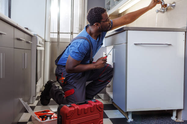 Best Faucet Repair  in Lmar, DE